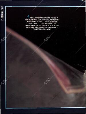 BLANCO Y NEGRO MADRID 28-08-1994 página 48