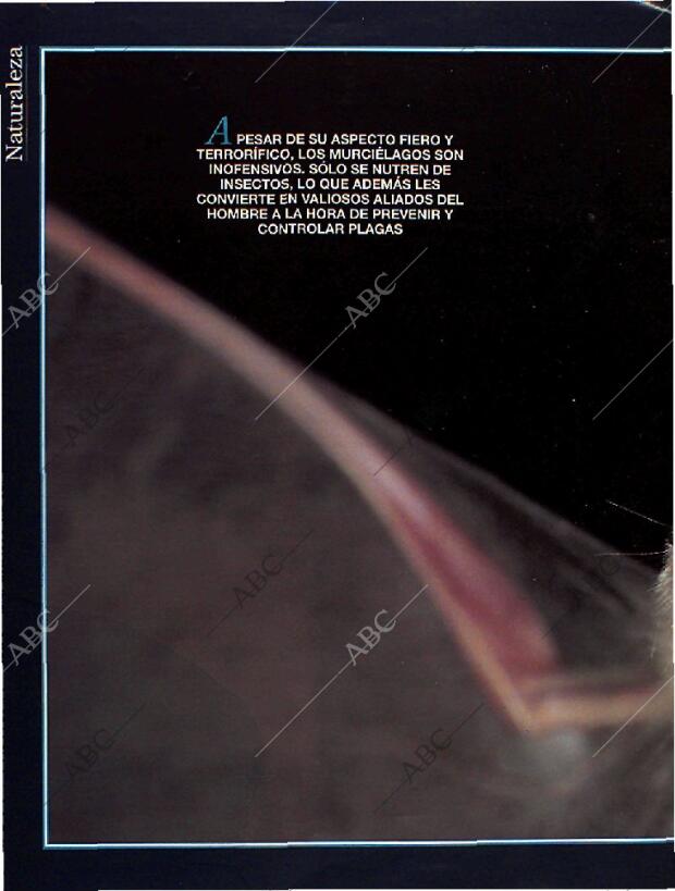 BLANCO Y NEGRO MADRID 28-08-1994 página 48