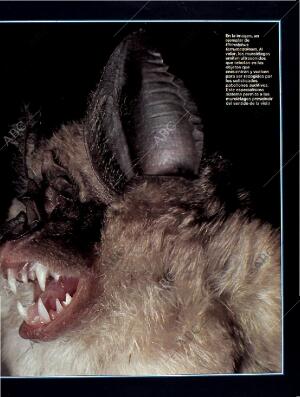 BLANCO Y NEGRO MADRID 28-08-1994 página 49