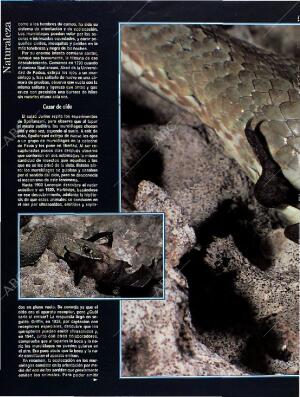 BLANCO Y NEGRO MADRID 28-08-1994 página 50