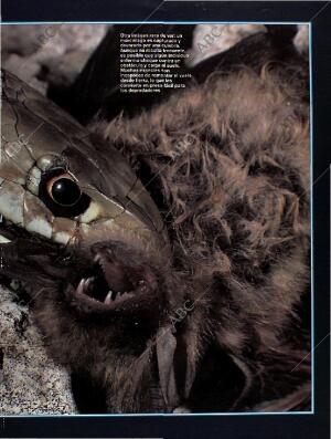 BLANCO Y NEGRO MADRID 28-08-1994 página 51