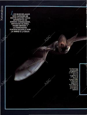 BLANCO Y NEGRO MADRID 28-08-1994 página 52