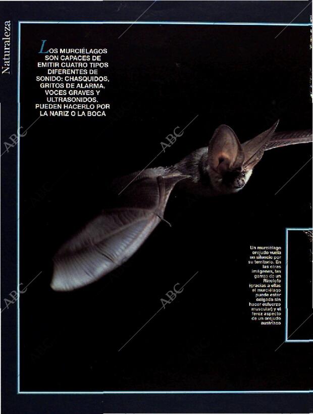 BLANCO Y NEGRO MADRID 28-08-1994 página 52