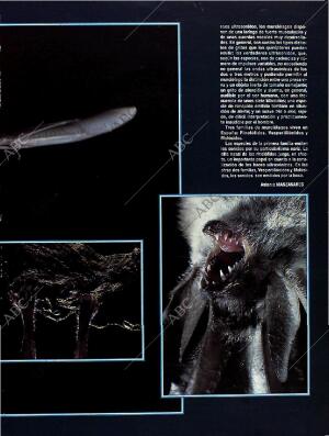 BLANCO Y NEGRO MADRID 28-08-1994 página 53