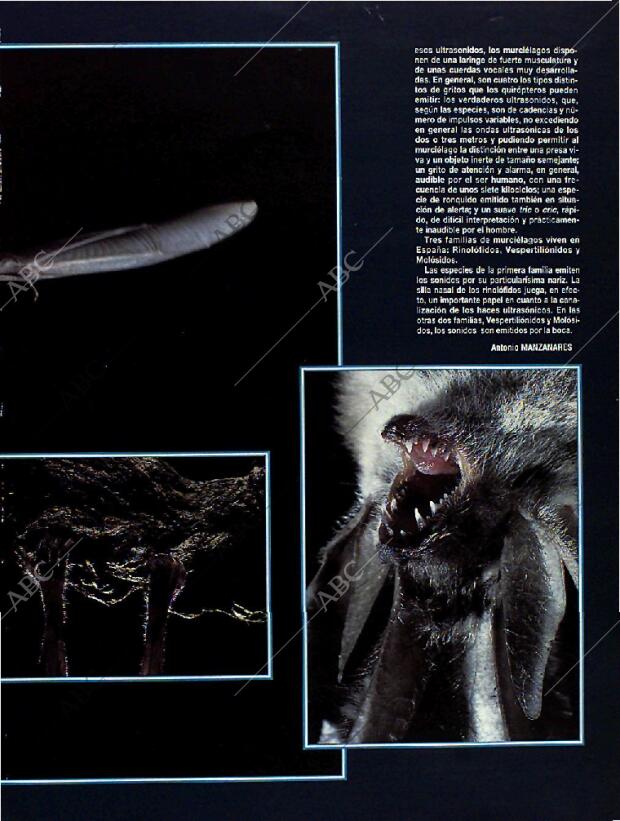 BLANCO Y NEGRO MADRID 28-08-1994 página 53