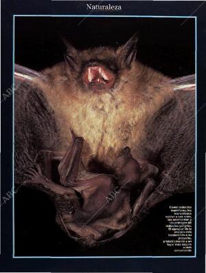 BLANCO Y NEGRO MADRID 28-08-1994 página 54