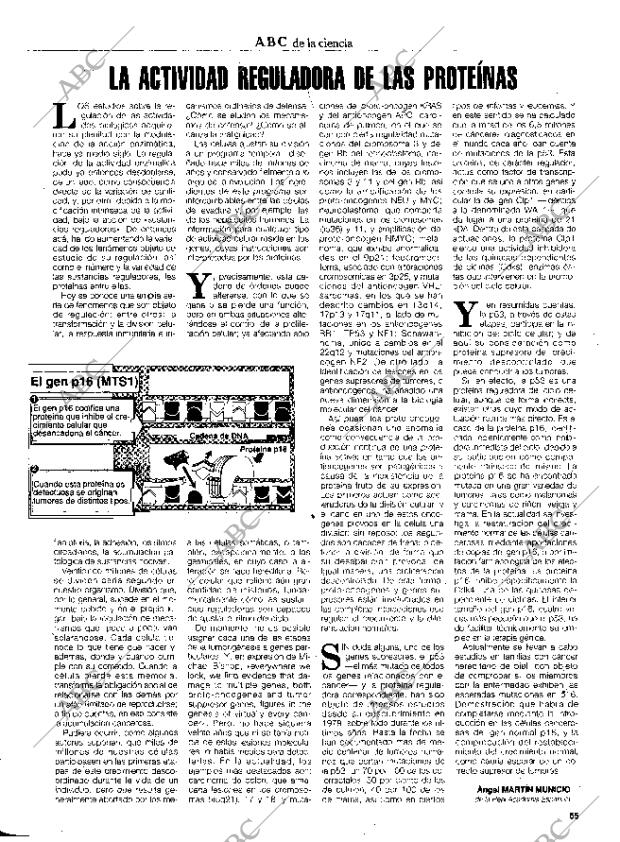 CULTURAL MADRID 09-09-1994 página 55