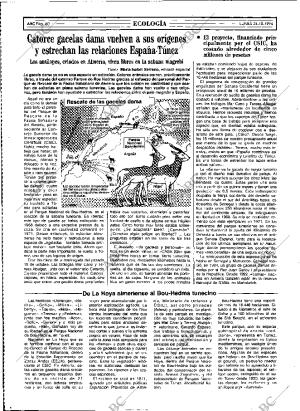 ABC MADRID 24-10-1994 página 60