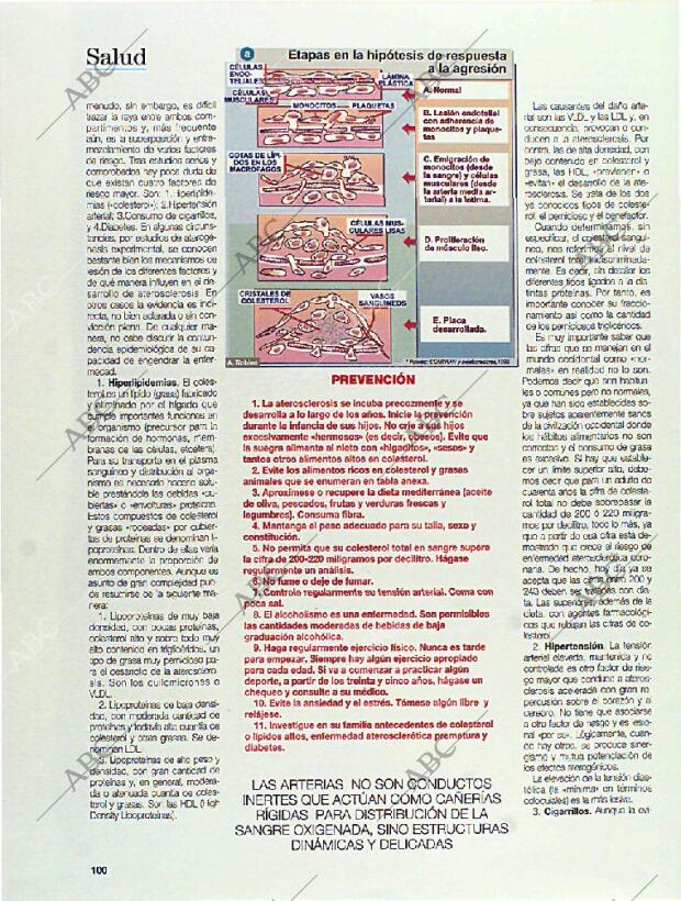 BLANCO Y NEGRO MADRID 06-11-1994 página 100