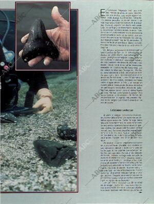 BLANCO Y NEGRO MADRID 06-11-1994 página 61