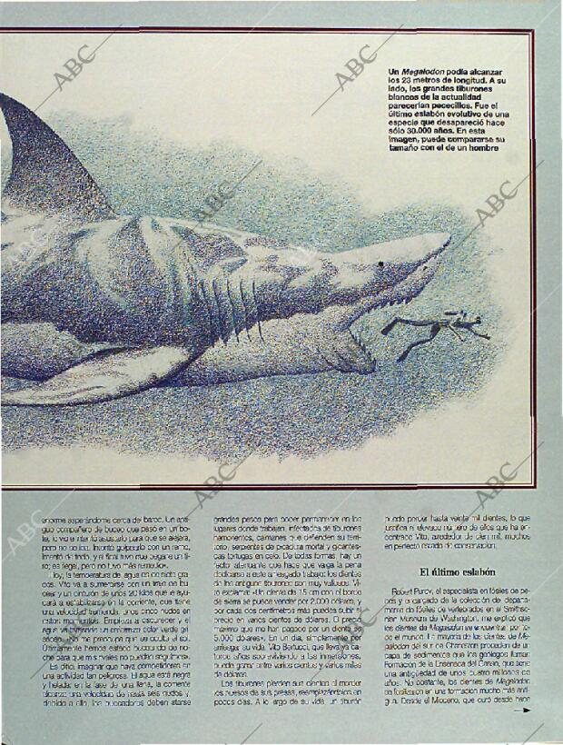 BLANCO Y NEGRO MADRID 06-11-1994 página 63