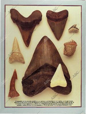 BLANCO Y NEGRO MADRID 06-11-1994 página 65