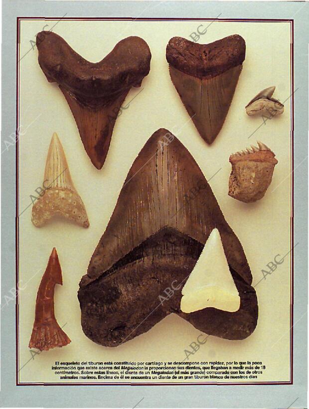 BLANCO Y NEGRO MADRID 06-11-1994 página 65