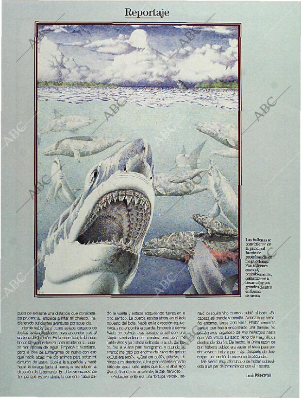 BLANCO Y NEGRO MADRID 06-11-1994 página 66