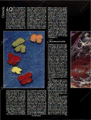 BLANCO Y NEGRO MADRID 22-01-1995 página 14