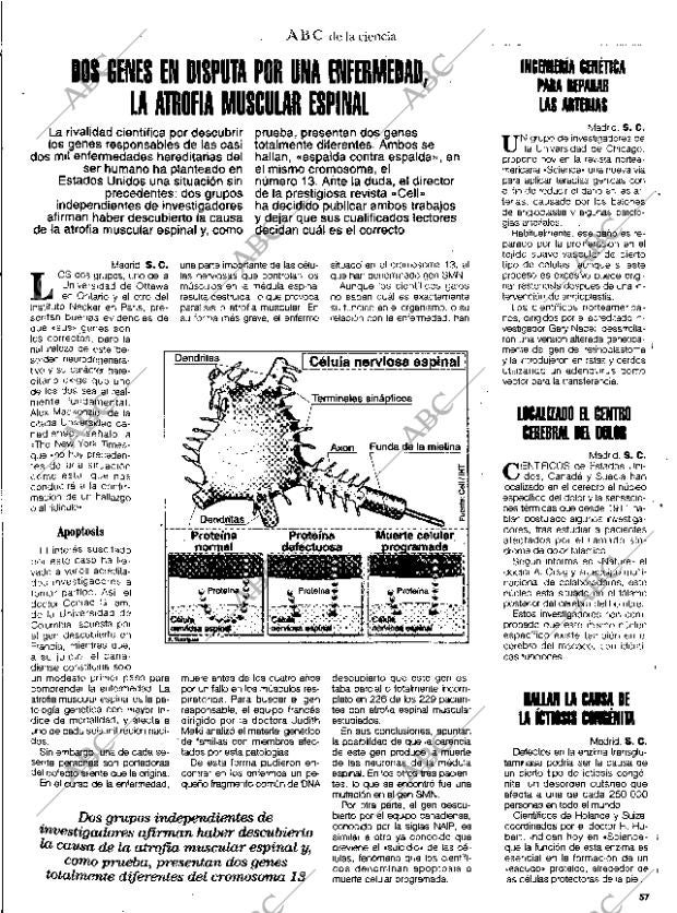CULTURAL MADRID 27-01-1995 página 57