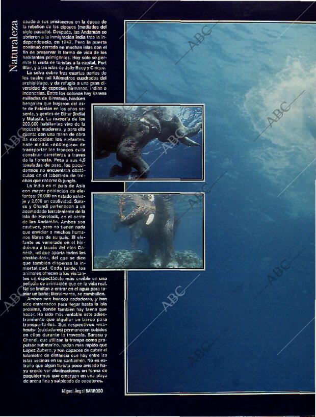 BLANCO Y NEGRO MADRID 29-01-1995 página 48