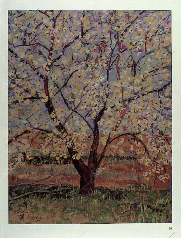 BLANCO Y NEGRO MADRID 02-04-1995 página 35