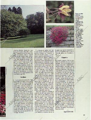 BLANCO Y NEGRO MADRID 02-04-1995 página 89