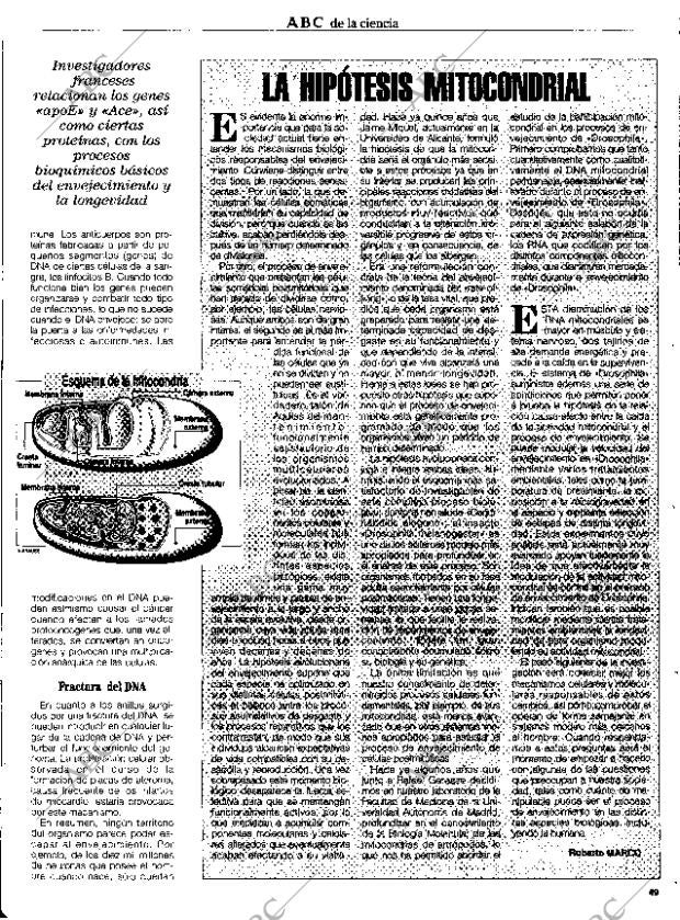 CULTURAL MADRID 21-04-1995 página 49