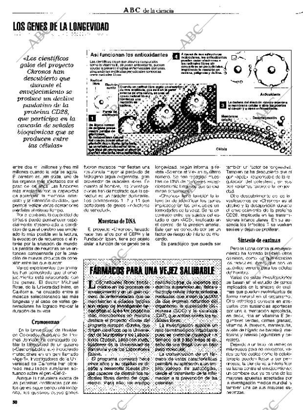 CULTURAL MADRID 21-04-1995 página 50