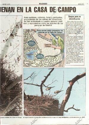ABC MADRID 01-05-1995 página 57