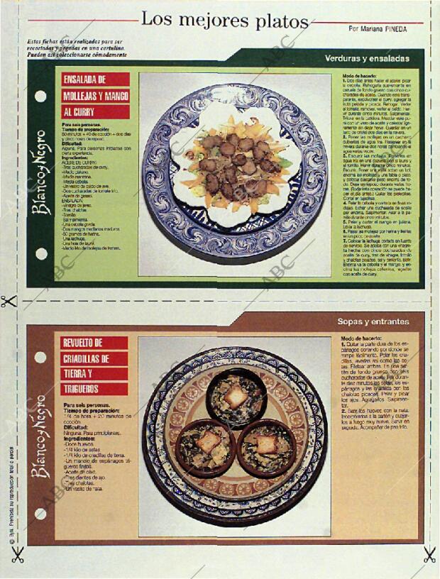 BLANCO Y NEGRO MADRID 14-05-1995 página 108