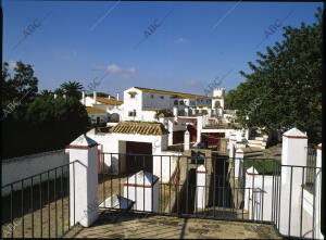 Los Alburejos, finca de la familia Domecq