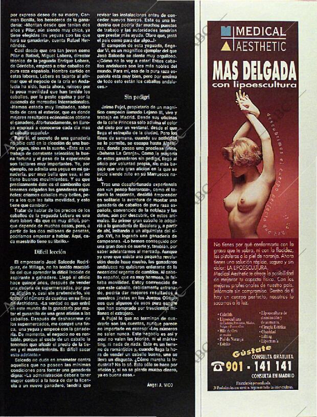 BLANCO Y NEGRO MADRID 11-06-1995 página 43
