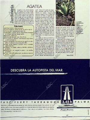 BLANCO Y NEGRO MADRID 18-06-1995 página 121