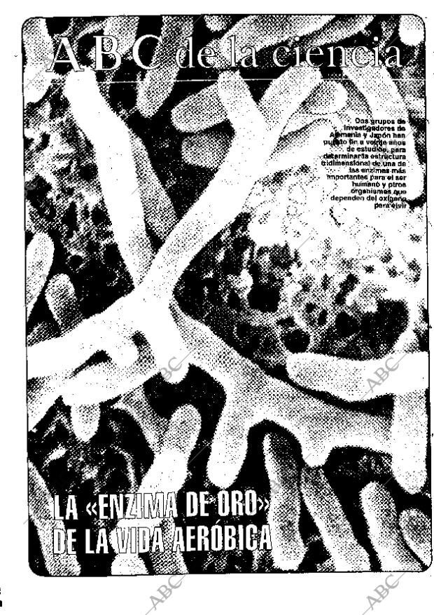 CULTURAL MADRID 25-08-1995 página 39