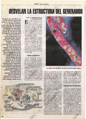 CULTURAL MADRID 25-08-1995 página 40