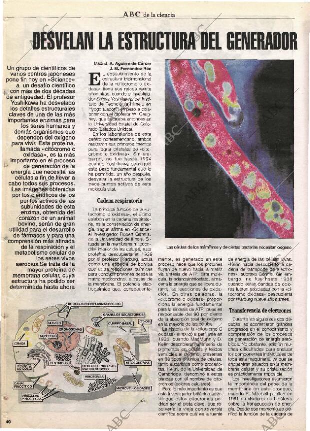 CULTURAL MADRID 25-08-1995 página 40