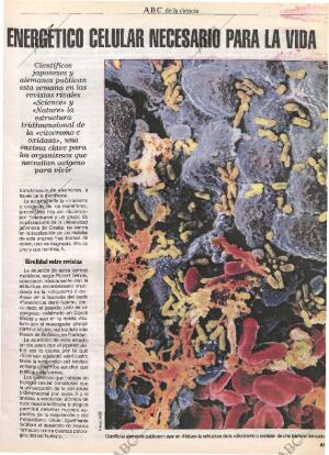 CULTURAL MADRID 25-08-1995 página 41