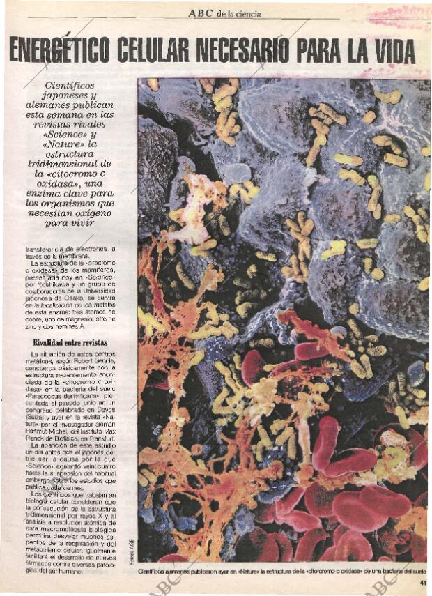 CULTURAL MADRID 25-08-1995 página 41