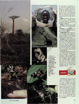 BLANCO Y NEGRO MADRID 27-08-1995 página 59