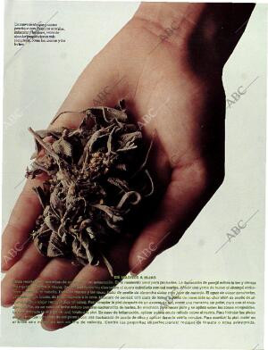 BLANCO Y NEGRO MADRID 01-10-1995 página 107