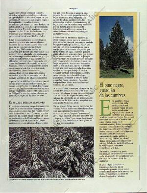 BLANCO Y NEGRO MADRID 08-10-1995 página 100