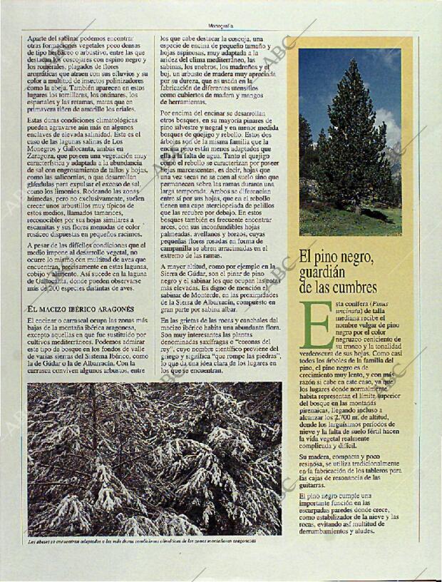 BLANCO Y NEGRO MADRID 08-10-1995 página 100