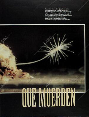 BLANCO Y NEGRO MADRID 08-10-1995 página 69