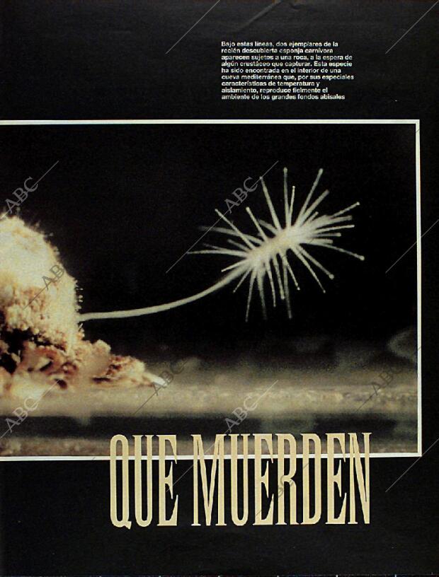 BLANCO Y NEGRO MADRID 08-10-1995 página 69