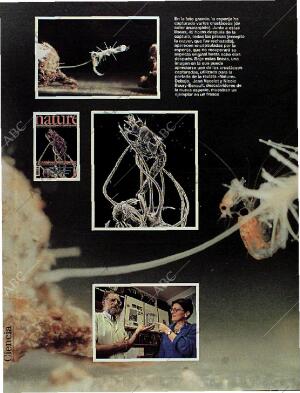 BLANCO Y NEGRO MADRID 08-10-1995 página 70