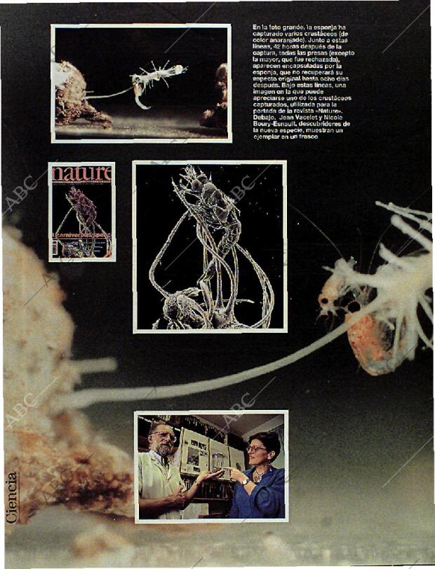 BLANCO Y NEGRO MADRID 08-10-1995 página 70