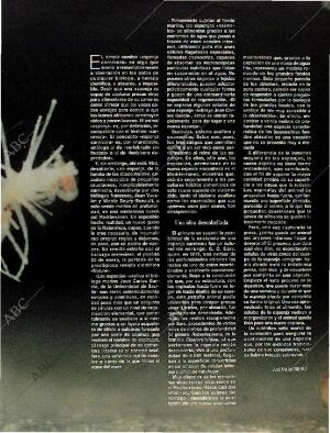 BLANCO Y NEGRO MADRID 08-10-1995 página 71