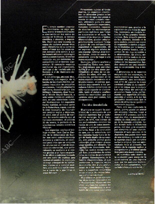 BLANCO Y NEGRO MADRID 08-10-1995 página 71