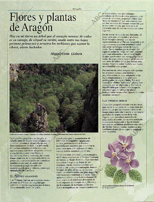 BLANCO Y NEGRO MADRID 08-10-1995 página 98