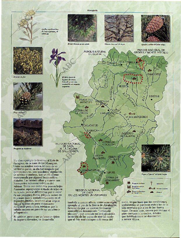 BLANCO Y NEGRO MADRID 08-10-1995 página 99