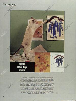 BLANCO Y NEGRO MADRID 15-10-1995 página 34