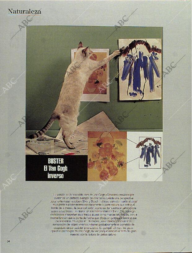 BLANCO Y NEGRO MADRID 15-10-1995 página 34