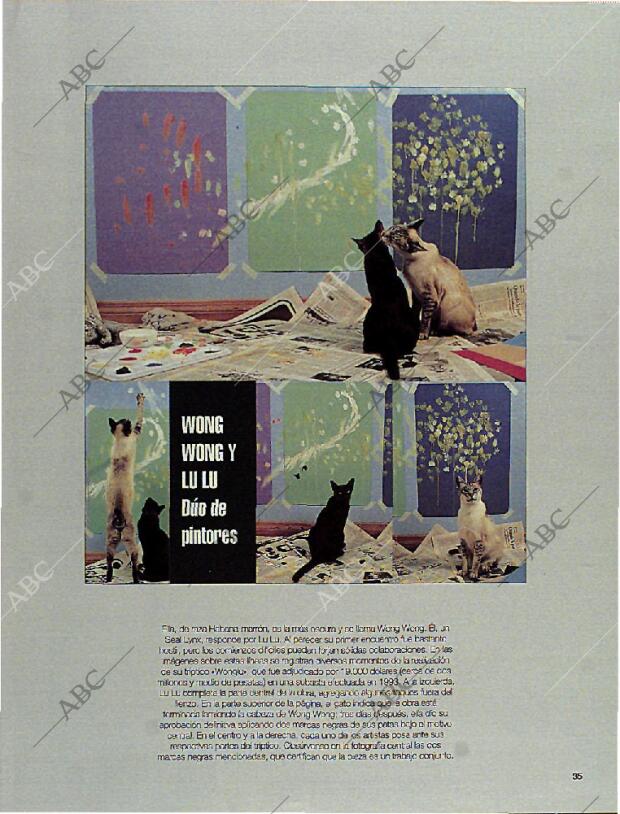 BLANCO Y NEGRO MADRID 15-10-1995 página 35